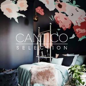 black-design-cantico